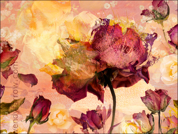 Floral : British Garden Series