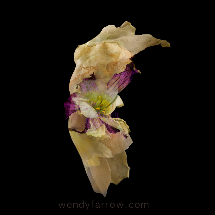 The Healing Gardens #02